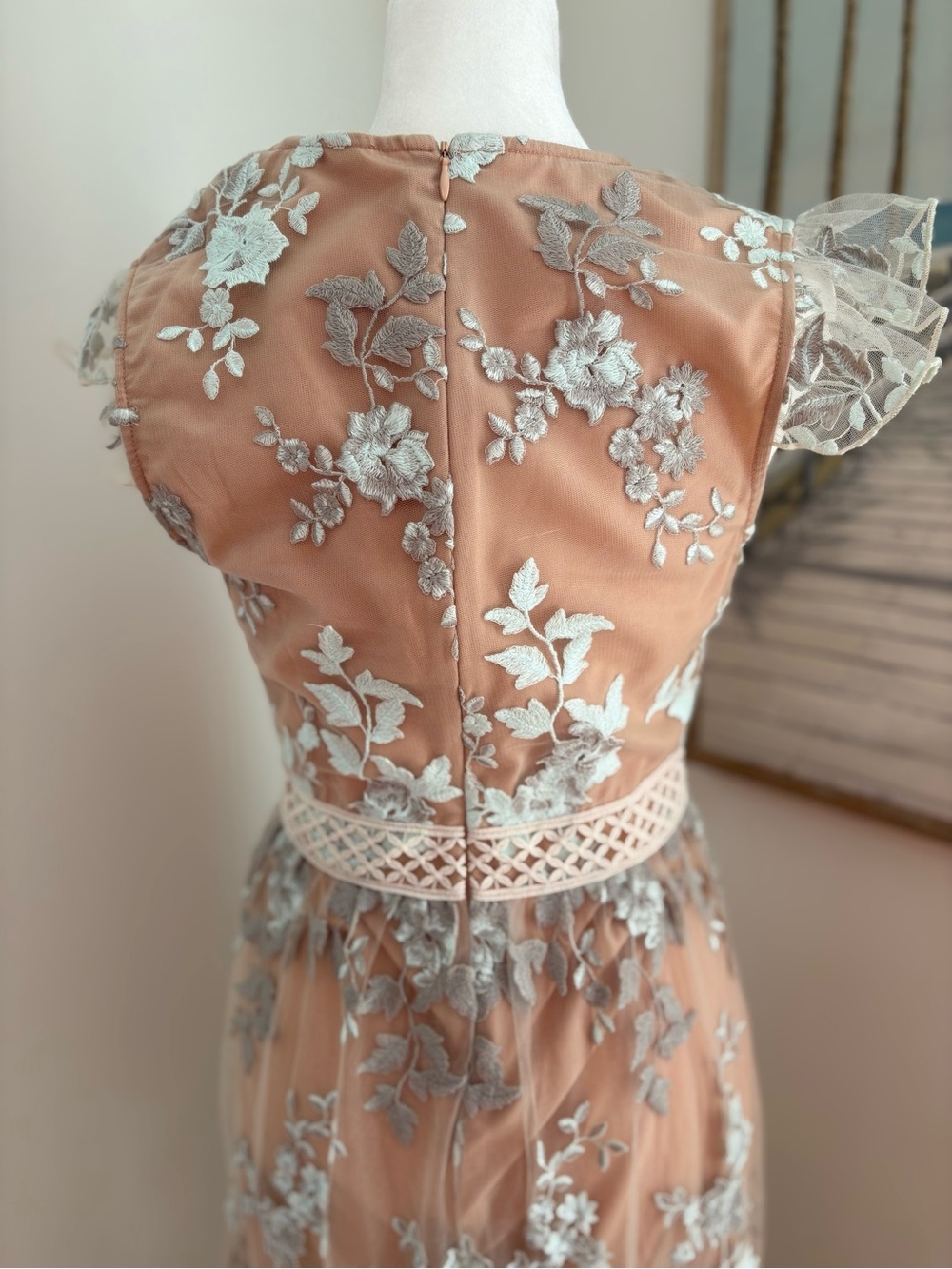 WAYF Oakley Sheer Embroidered V-Neck Maxi Dress - Picture 2 of 7